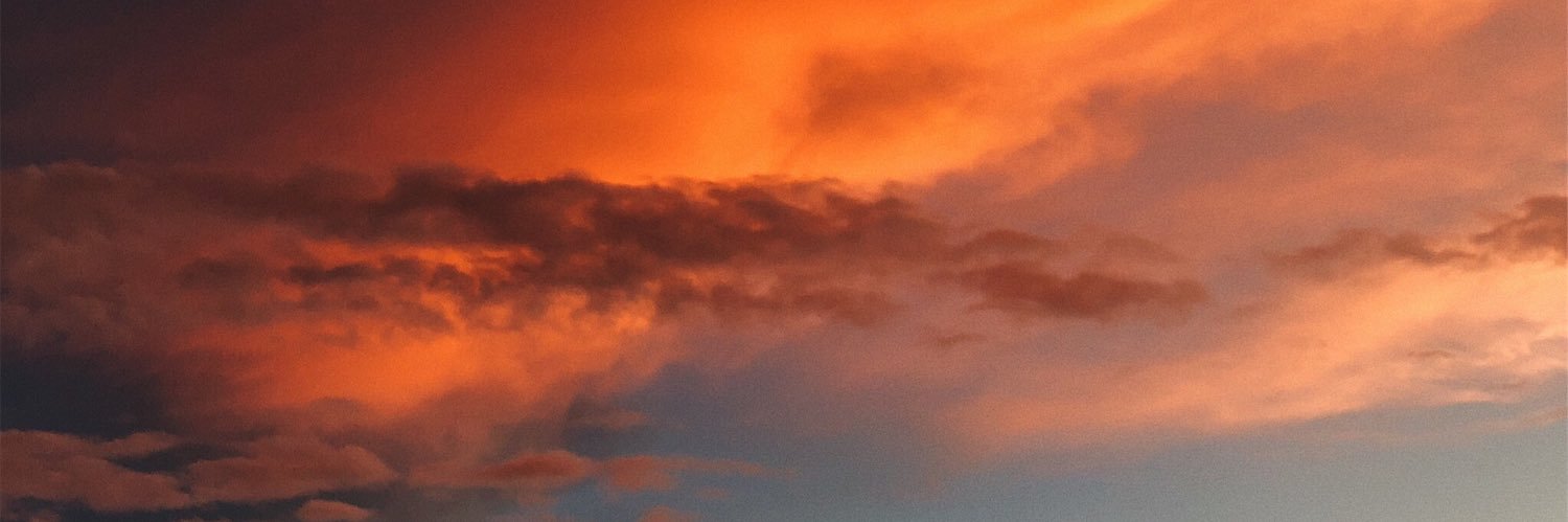 DelfinaMestroni's profile banner image