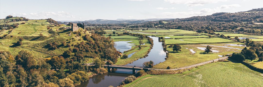 CarmsCouncil's profile banner image