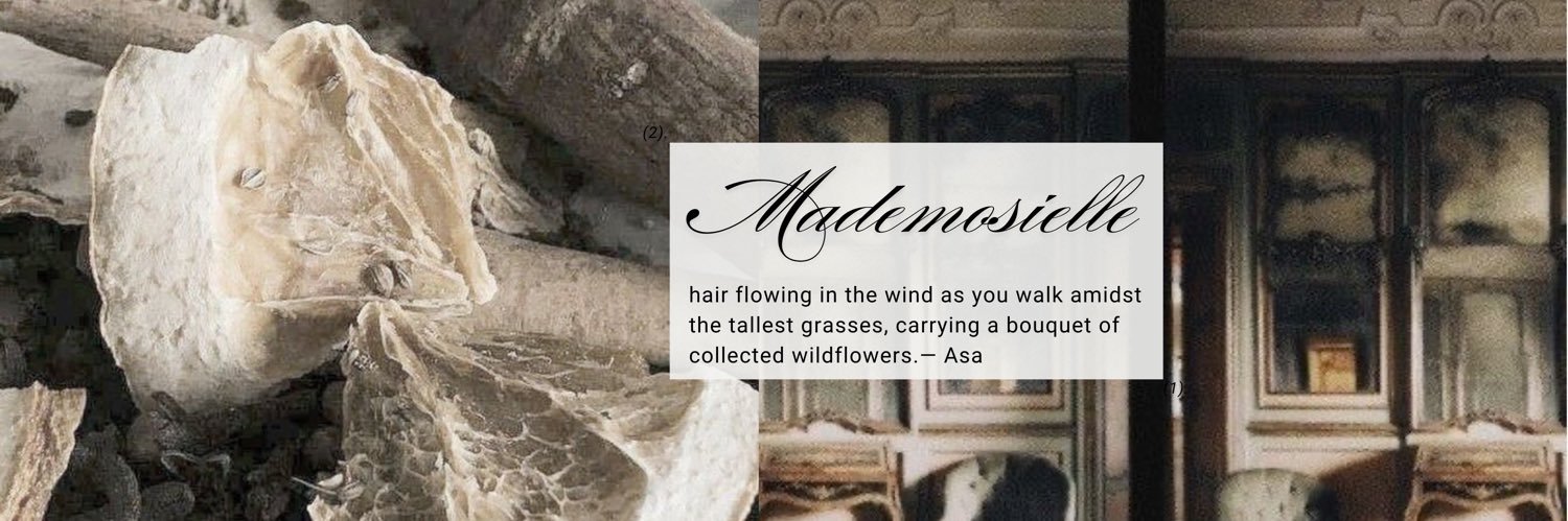 َ banner