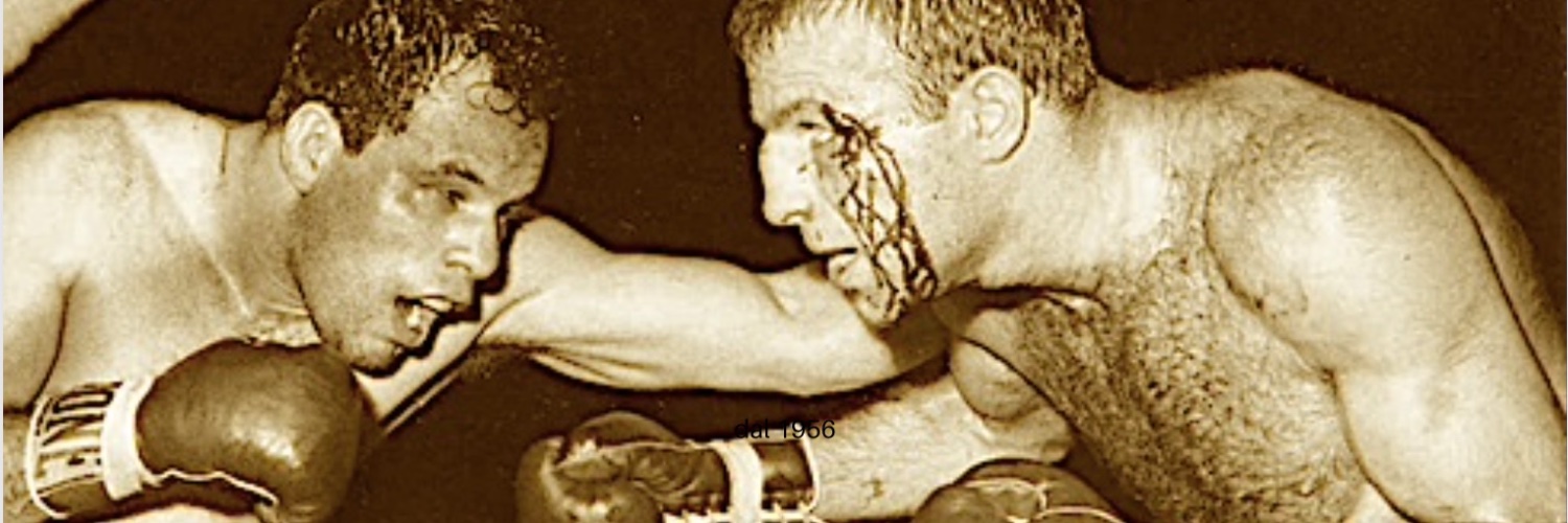 dario torromeo banner