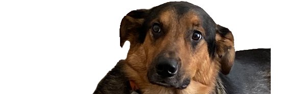 mrcsdsvx's profile banner image