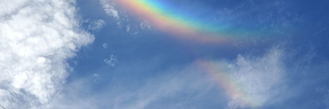 luna_s's profile banner image