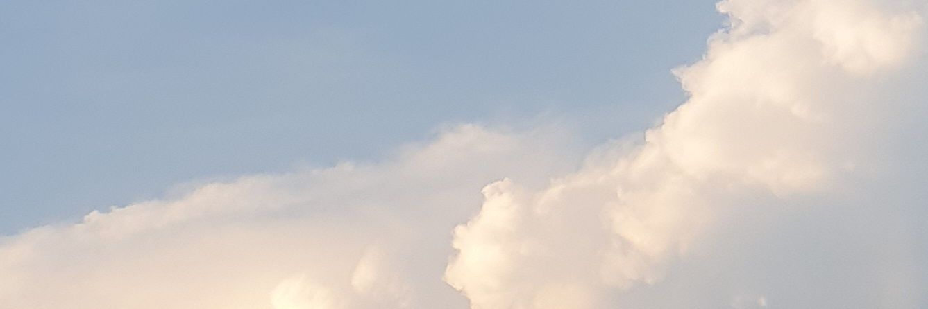 schdammy's profile banner image