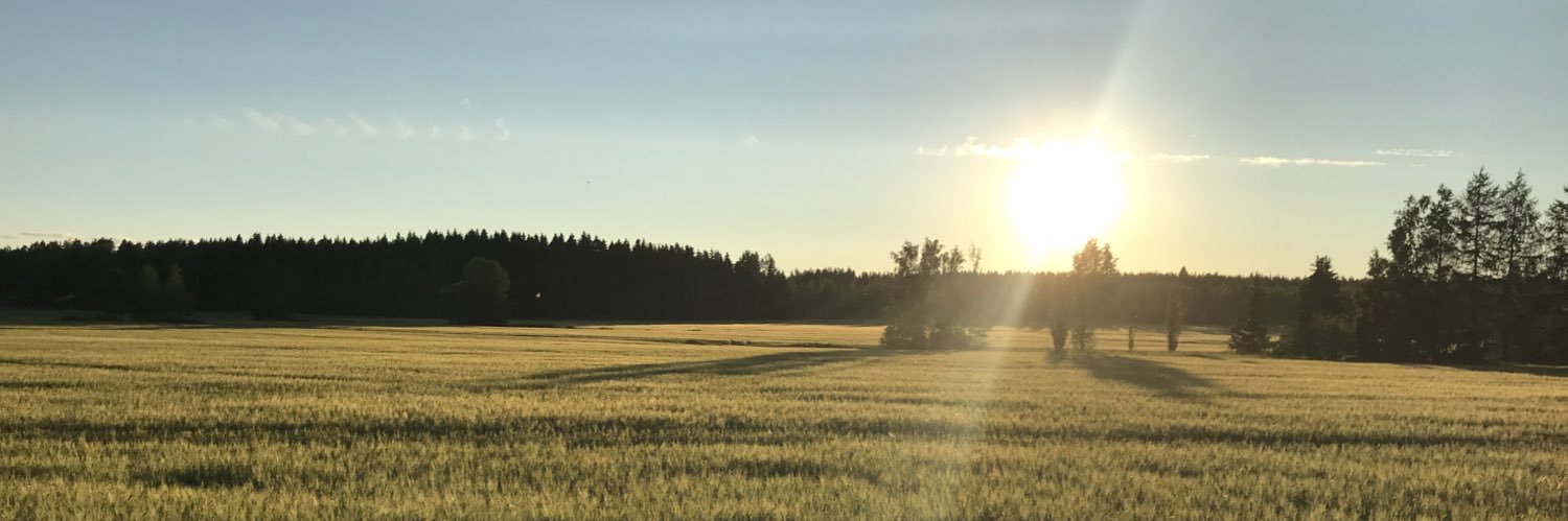 jakeveli's profile banner image