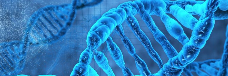 daniel sienkiewicz banner