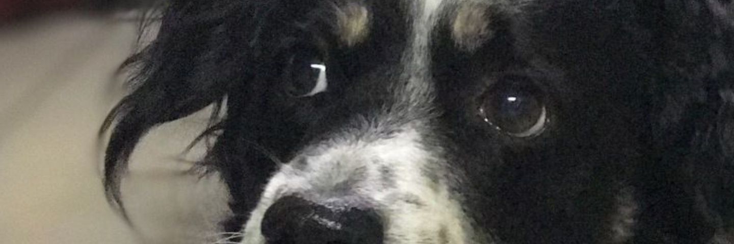 Ramon_Garret01's profile banner image