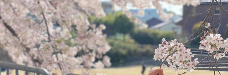 EricaUeda's profile banner image