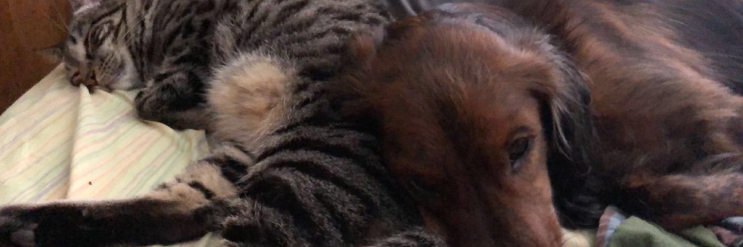 AndrewWonsmos's profile banner image
