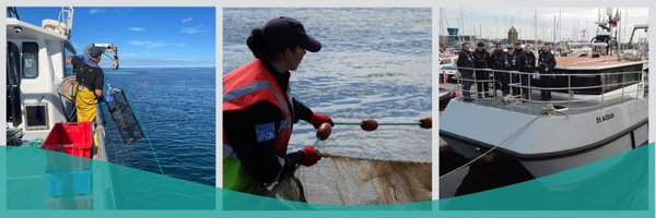 N_IFCA Profile Banner