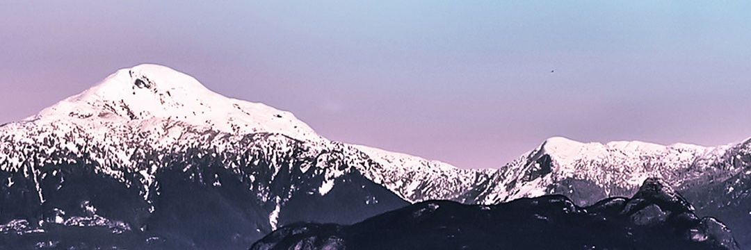 stefy1780's profile banner image
