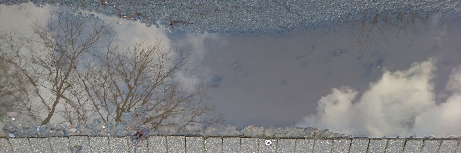Murmelgnom's profile banner image