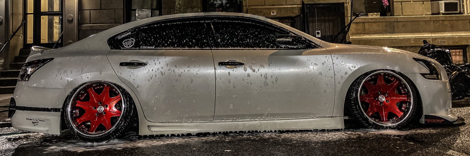A L E X banner