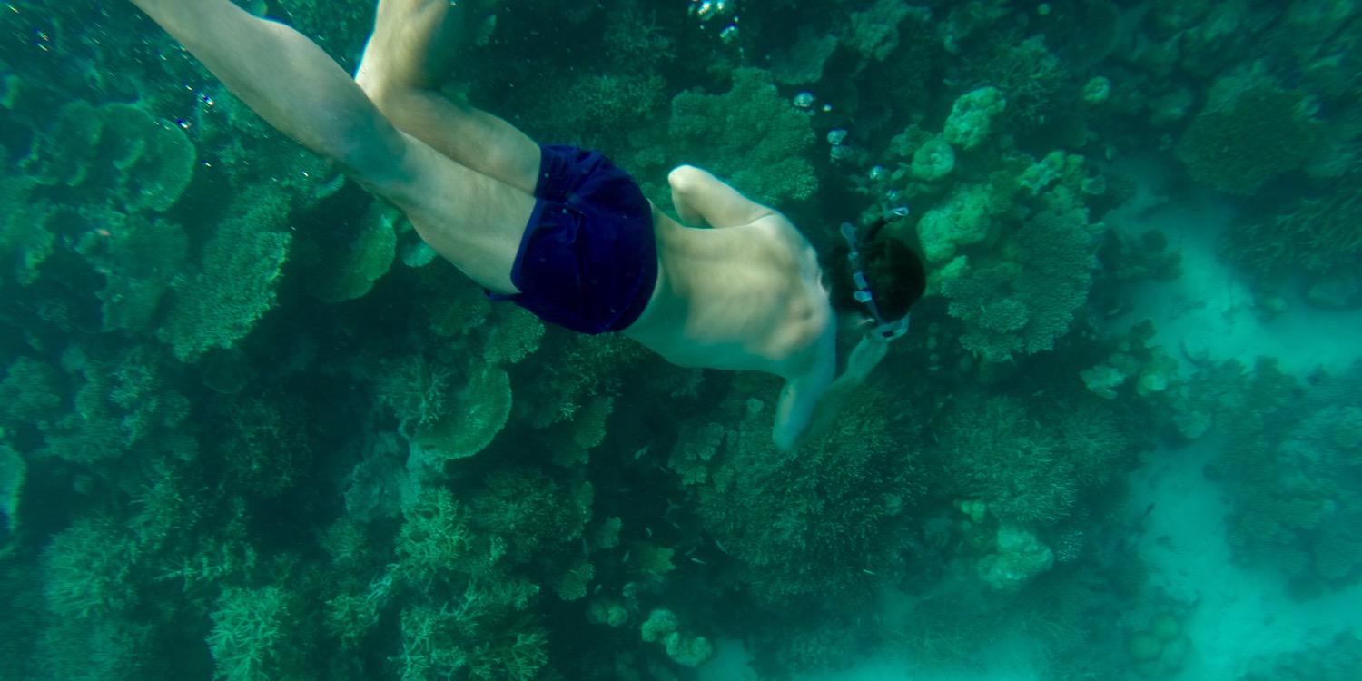 Pierre Besson banner