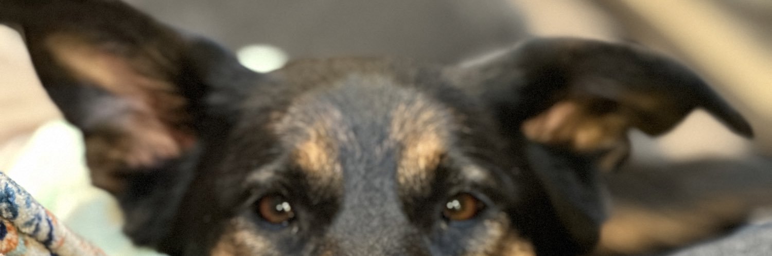 Lyssssaaa's profile banner image