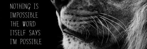 isabel_chambert's profile banner image