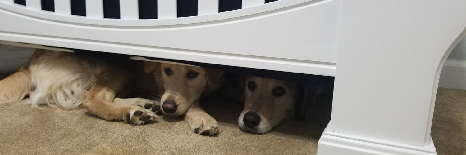 MX Green Ranger banner