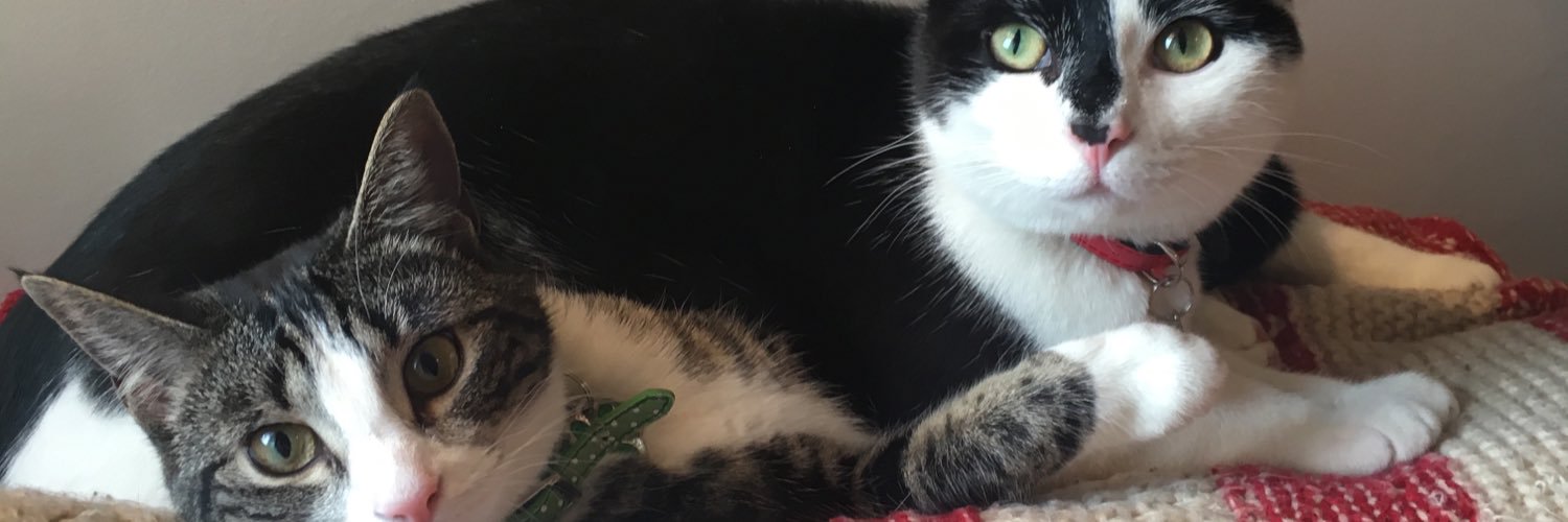 maisizzle's profile banner image