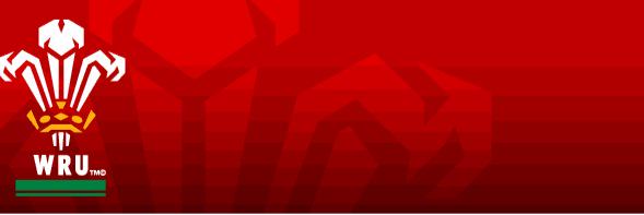 BluesNorthSSL's profile banner image