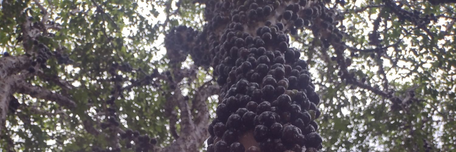 CgoNetwork's profile banner image