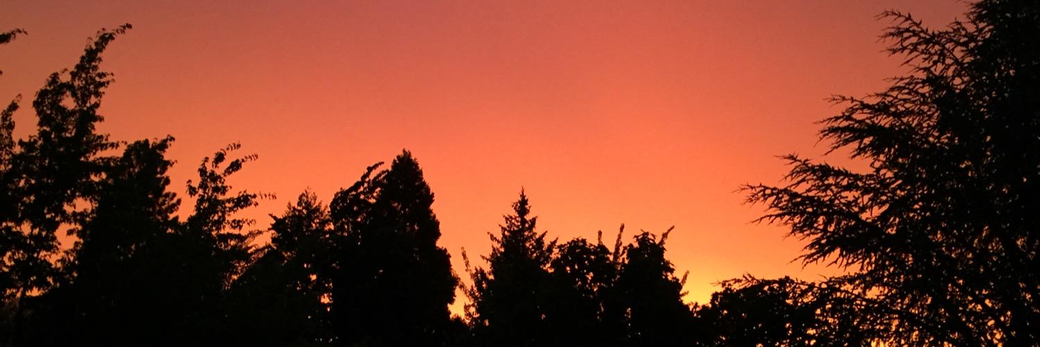KileyBarcroft's profile banner image
