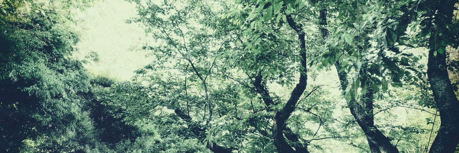 yuxvoice's profile banner image