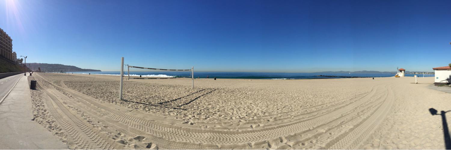 Kelly Cheeseman banner