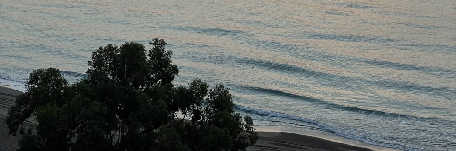 carloscastellor's profile banner image