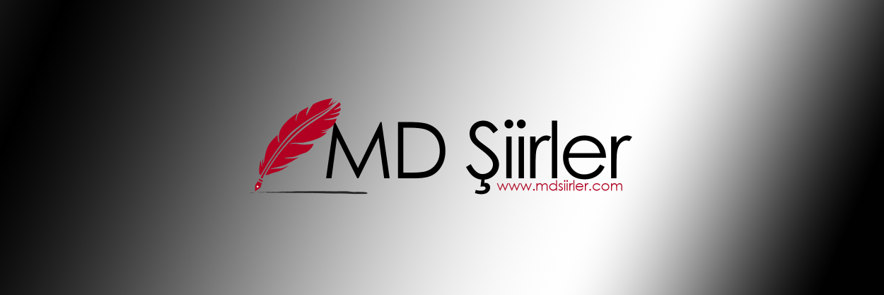 Twitter banner for @mdsiirler