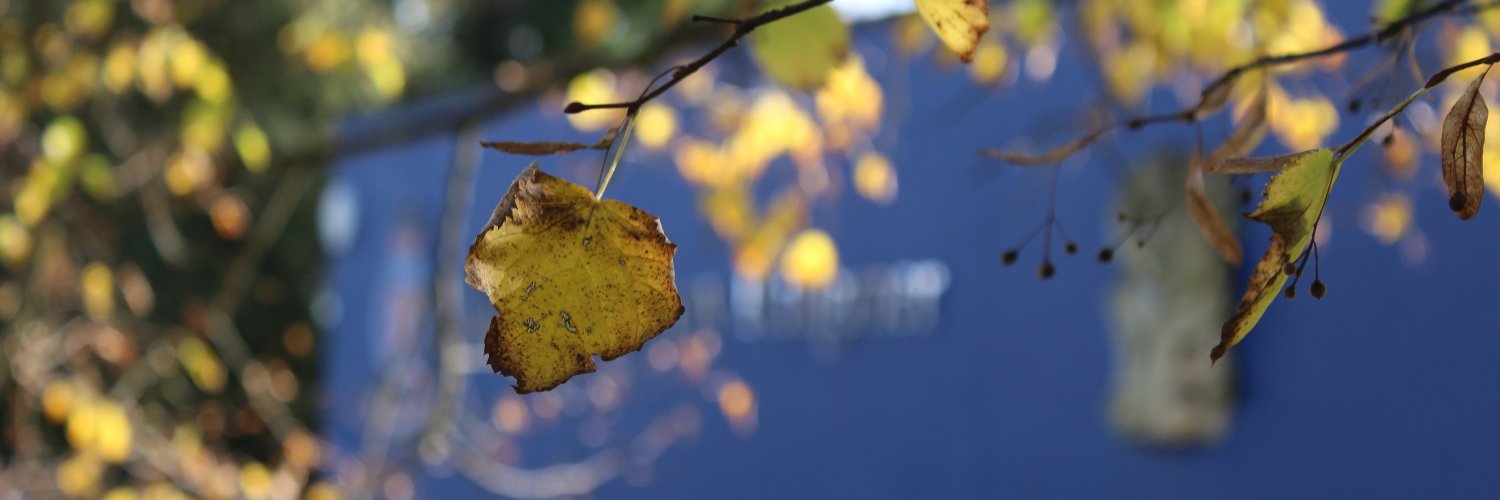 King’s Academy Ringmer banner
