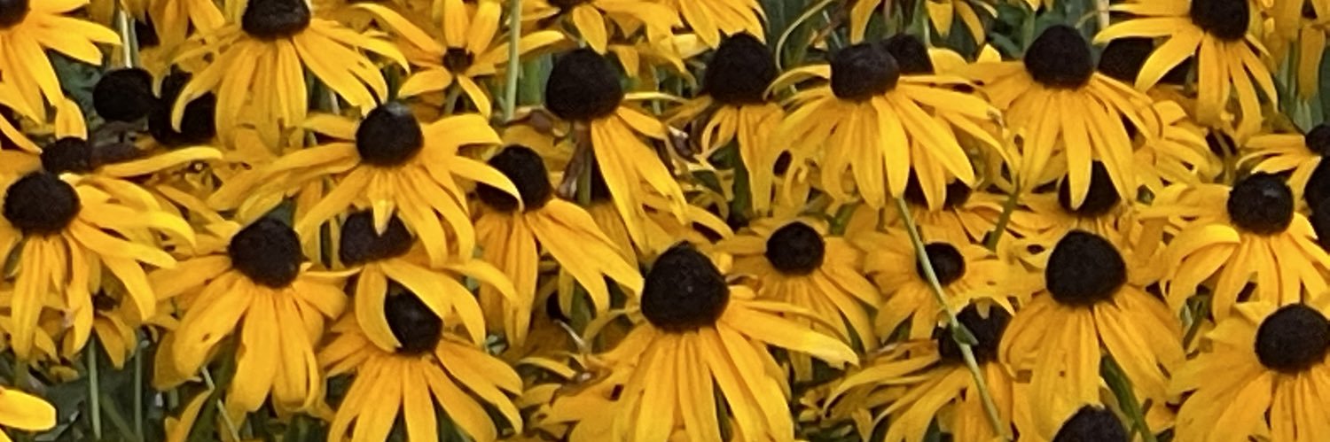 pugs024's profile banner image
