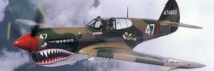 Steven Frederick banner