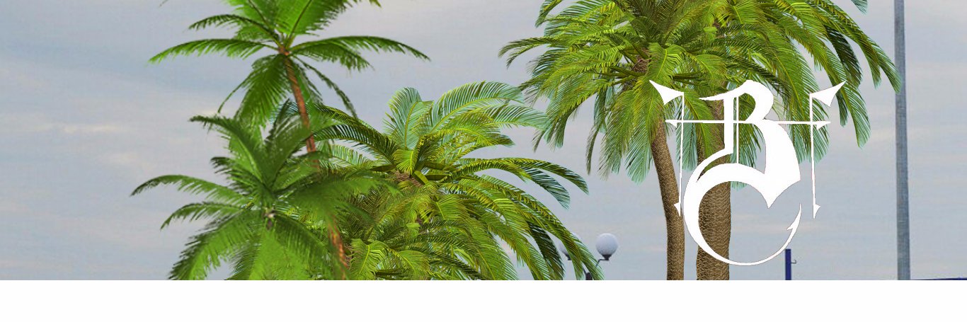flo___999's profile banner image