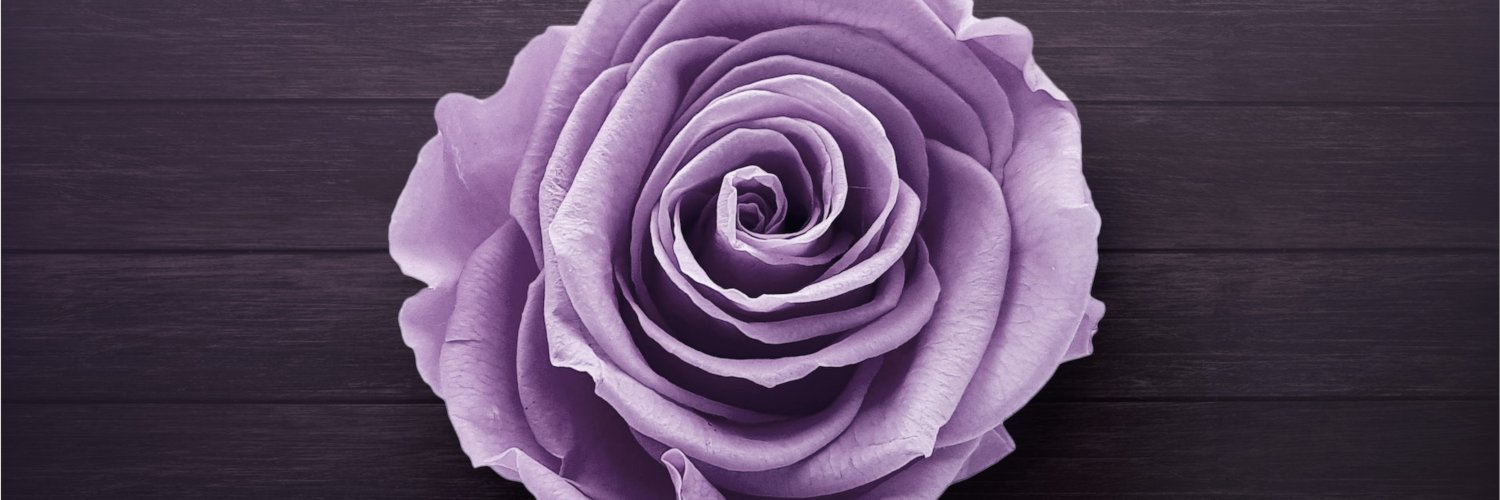 Hannah Judson banner