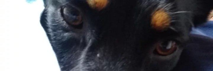 macaportillo95's profile banner image