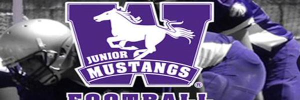 LdnJrMustangs Profile Banner