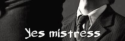 meviusEstyle's profile banner image