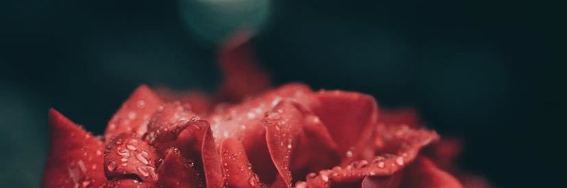 Bleu_grl's profile banner image