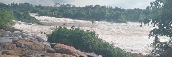 monicaiyb Profile Banner