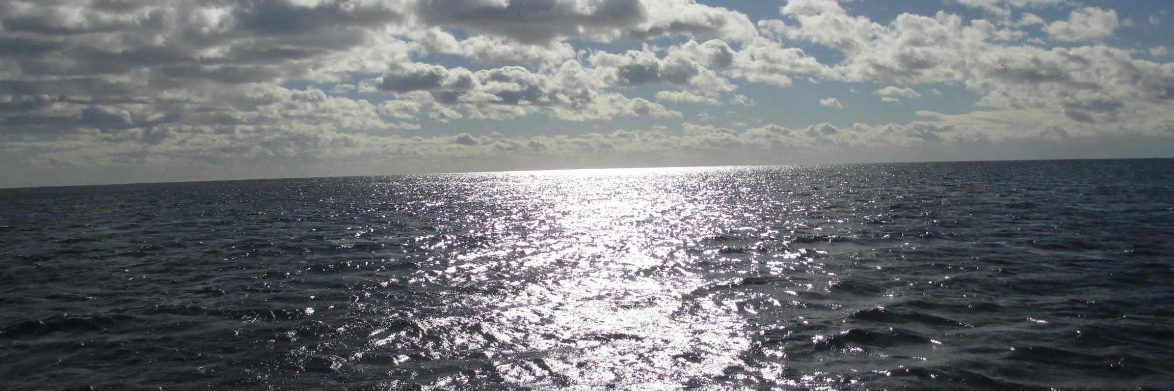 Gabziela's profile banner image