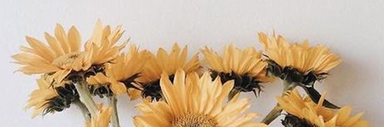 chi banner
