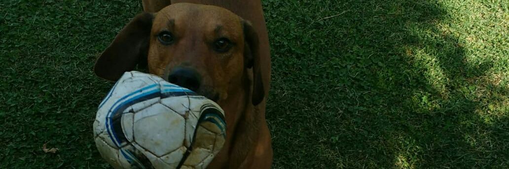 SalsoJose's profile banner image