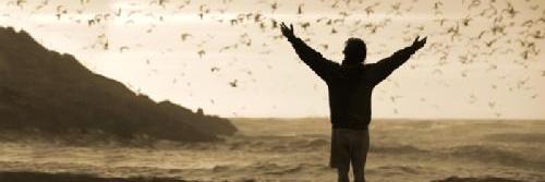 Leo_sonrisa's profile banner image