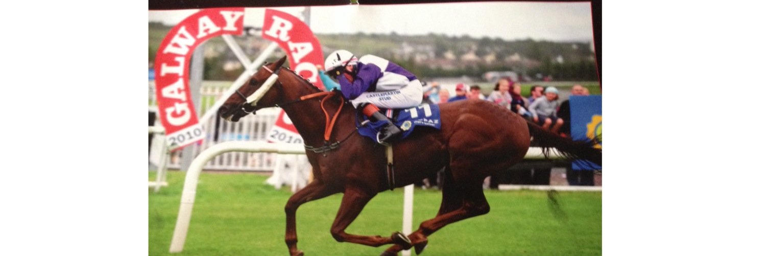 Tom Howley banner