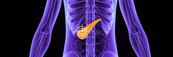 precisionpanc Profile Banner