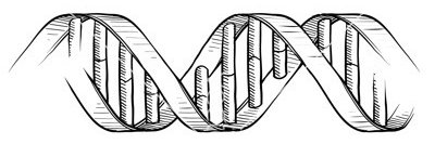 Emma Markham 🧬 banner