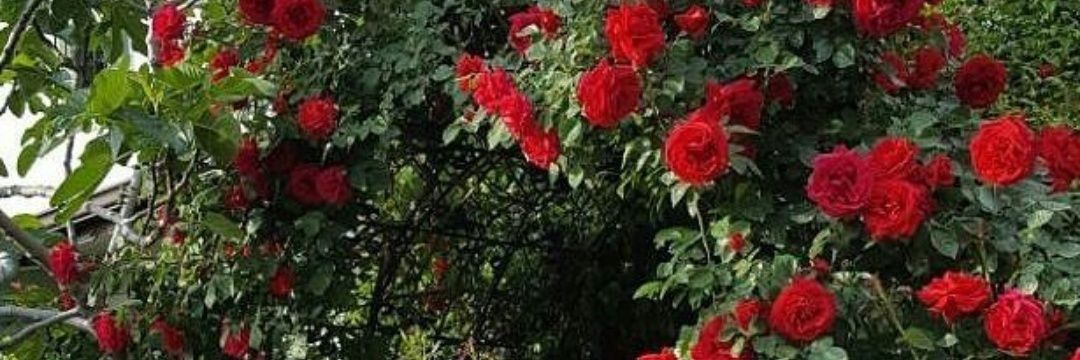 VatanMillet3315's profile banner image