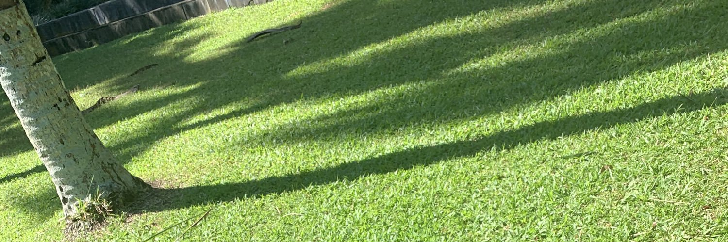 Catfish_87's profile banner image