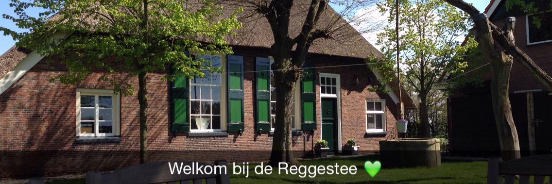Reggestee's profile banner image