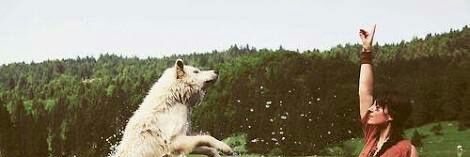 SvgiNalbantoglu's profile banner image