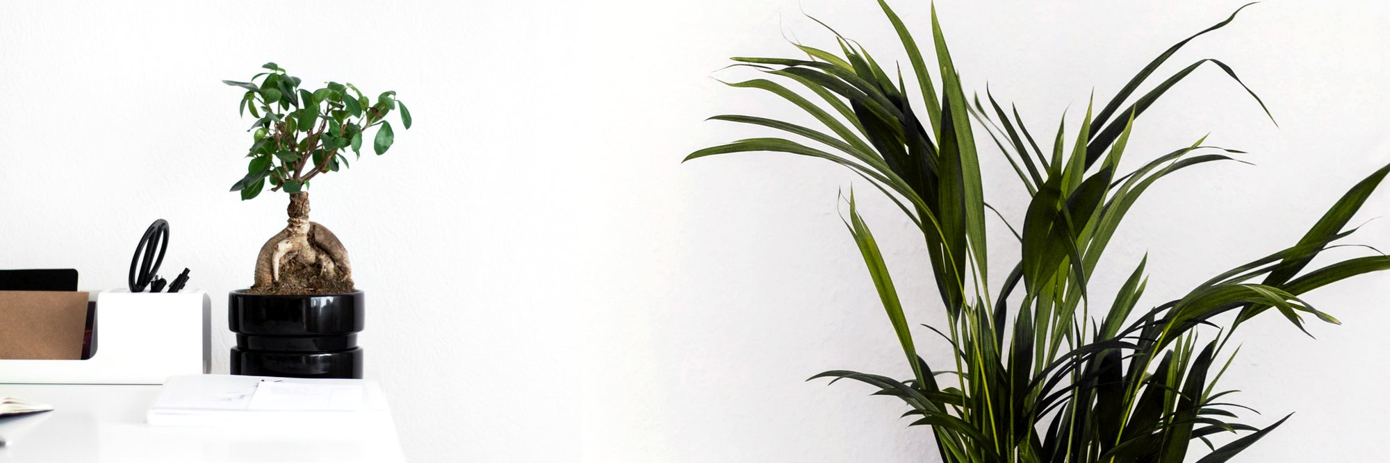 GreenBubble_com's profile banner image